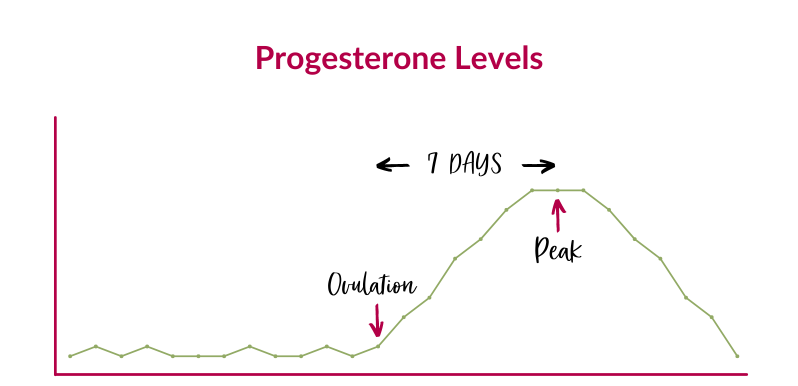 The Progesterone Problem: Why Low Levels Cause Irregular and Unpredictable Periods